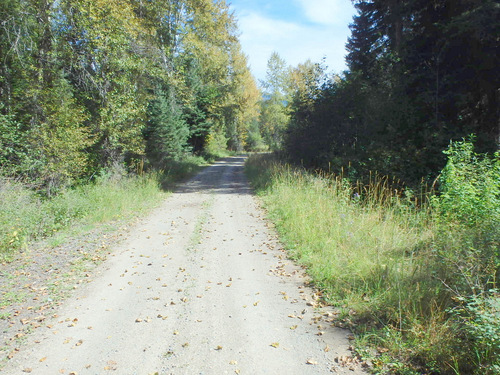 Pedaling towards Fatty Creek Road, on the GDMBR.